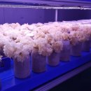 수정동농장 이미지