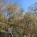 대지로 | 서울 안산 무악동 봉수대지 가는 등산루트 및 후기