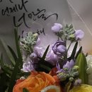 [프로포즈] 티파니 다이아반지 5부 리사이징후기 페어몬트 앰버서더 비언유주얼