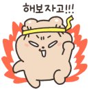 정무태권도장 이미지