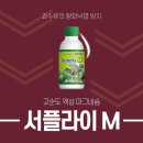 엠앤와이 이미지