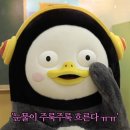 새로운병원 이미지