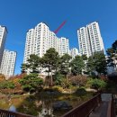 소로3-108 이미지