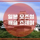 오즈스테이 이미지