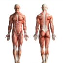 신부동 PT전문헬스장 호짐 이미지