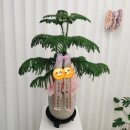 썬플레르