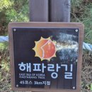 (주)푸른환경 | [동상산악회 정기산행] 고성 외옹치항~청간정 트레킹 &amp; 갈매기횟집 자연산 모둠회 후기