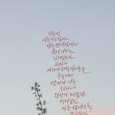 시와 캘리 이미지