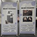 헤드샷스칼프본점 이미지