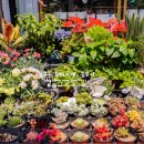 부흥중학교 정문 앞 이미지