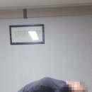 성장요가 | 몸과 마음을 치유하고 성장시켜주는 바라티아쉬람, 창원요가 후기