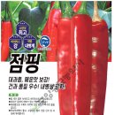 점핑왕