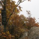 동량초 서운분교 이미지