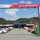 세종우체국 이미지