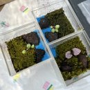 경기투어패스 김포 추천코스, 송마리다육, 루나의뜰 체험 후기