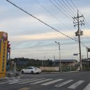 서천-18 | [충남 서천 여행] 갯벌에서 보물찾기! 선도리갯벌체험마을 맛조개 잡이 솔직 후기 (준비물, 꿀팁)