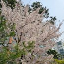 방화1동330 이미지