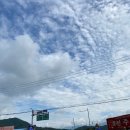 구례공영버스터미널 관광안내소 이미지