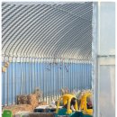 꽁냥이놀이터 이미지