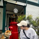 여행 일본어 중급 | [내돈내산] 안산이지어학원 8개월 다니고 추가로 1년 권 등록한 솔직후기 / 일본어 잘하는 꿀팁 (?)