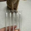 네오메디칼약국 | [네오메디칼] 마법의 귀 세정제, 약국 귀 세정제 리뷰 ( 이어폰 귓병, 귀 가려울 때 )
