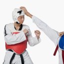 시흥경희대 여명태권도장 이미지