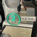 낙중지생 이미지