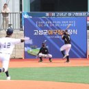 고성군야구장 이미지