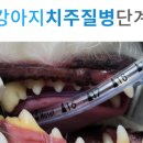 대치동물메디컬센터 이미지
