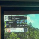 버디스크린골프 이미지