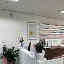 마곡역 네일샵, 네일로바에서 받은 봄 네일… 진짜 예쁨주의!🌼 손끝에 피는 감성 플라워 아트