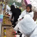 경일초등학교 이미지