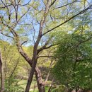 한양삼십리누리길 | 한양 삼십리 누리길