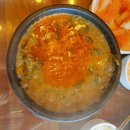 춘천 맛집 추천 애니닭갈비, 샤브마니아, 남가네설악 추어탕