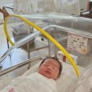 목동제일여성병원 이미지