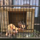 우창농장 이미지