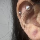 새튼튼약국 이미지