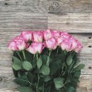 라엘헤어 이미지