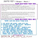 매월마다 파마해왔던 여자손님과 전혀 파마를 해오지 않았던 남성손님의 아이롱펌 차이점. 이미지