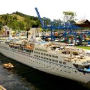 랜드피시 이미지