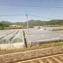 대한민국6.25참전유공자회제주특별자치도지부 | 47년 육사 5기생의 70%가 서북청년단 출신..