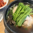 한울능이버섯백숙 | 청라 보양식 삼계탕 맛집 한울능이버섯백숙 삼계탕 해물파전 후기