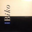 비코(BIKO) 이미지