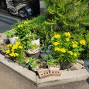 키친달팽이 이미지