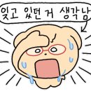 중동동물병원 이미지