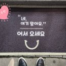 진수찬 이미지