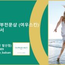 여우스킨 이미지