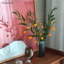 박병주농장 이미지