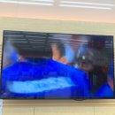 워시랜드목포점 이미지