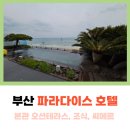 오션 | 파라다이스 호텔 부산 본관 조식, 온천 씨메르, 디럭스 오션 테라스 후기